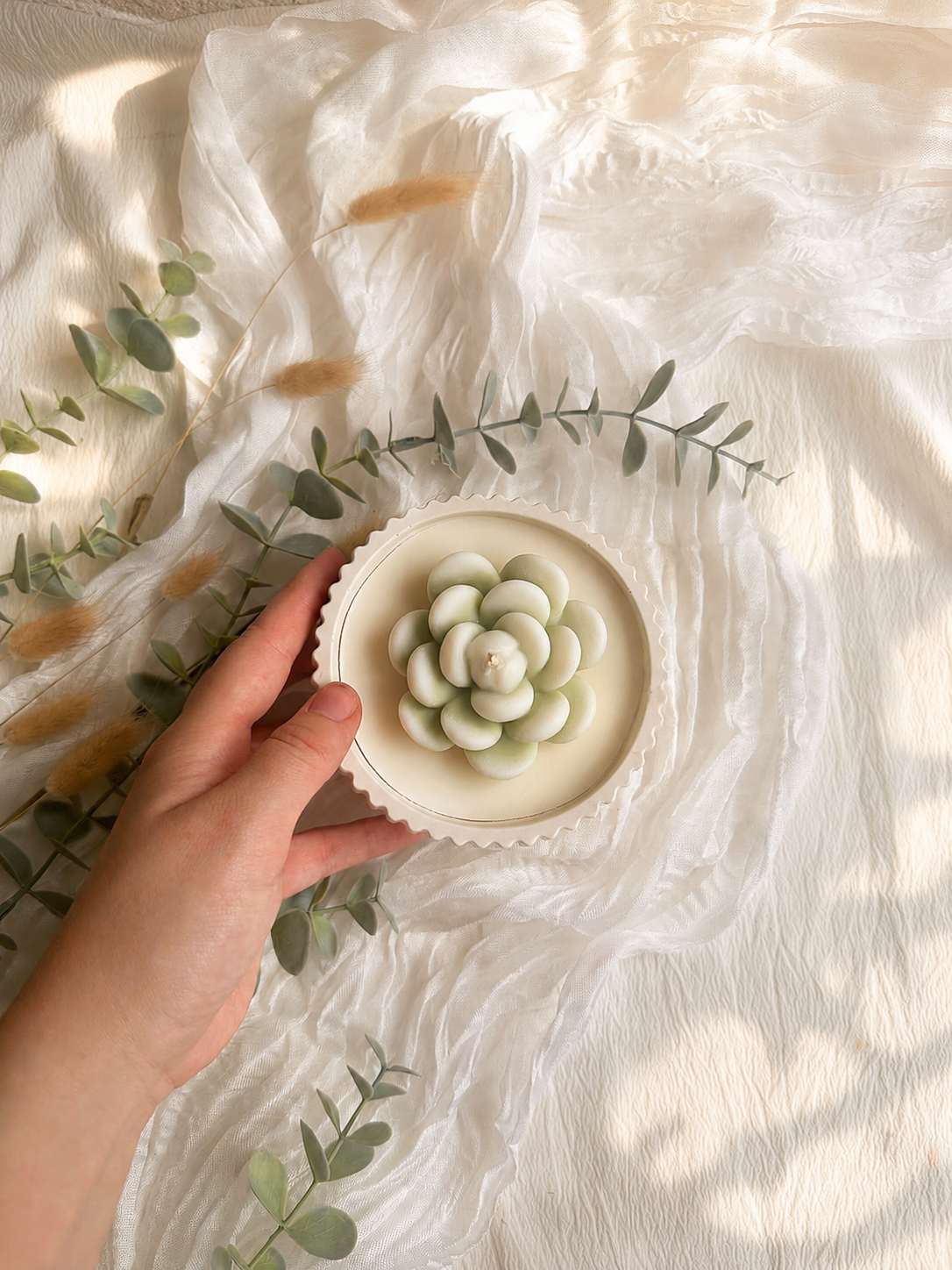 Bougie Succulente