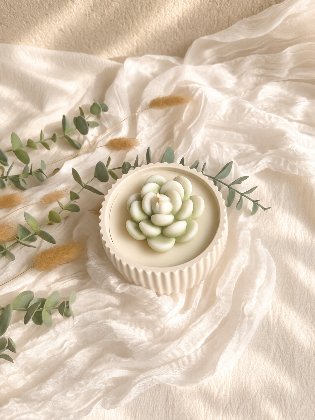 Bougie Succulente